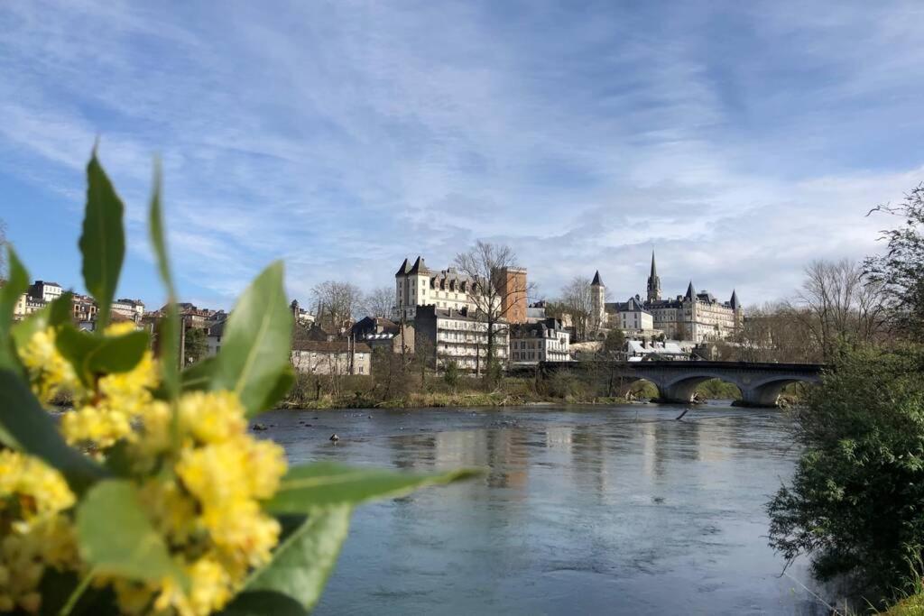 Magnolia : Superbe Deux-Pieces Quartier Du Chateau Pau Dış mekan fotoğraf